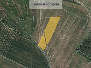 Prodej pole, Sentice, 1509 m2
