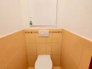 Pronájem bytu 3+1, Brno, Štefáčkova, 62 m2