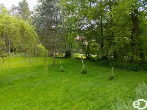 Prodej zahrady, Horní Bukovina, 1146 m2