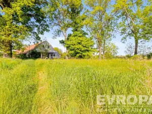 Prodej zemědělské usedlosti, Golčův Jeníkov - Stupárovice, Stupárovice, 100 m2