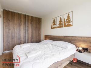 Prodej bytu 2+kk, Říčky v Orlických horách, 55 m2