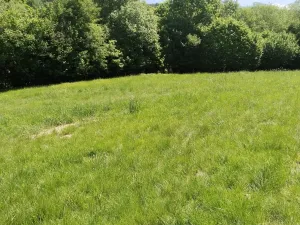 Prodej pozemku pro bydlení, Dlouhá Ves, 1876 m2