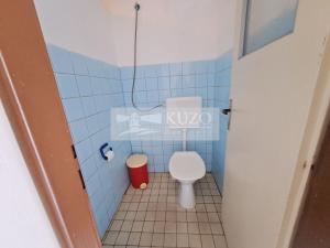 Prodej ubytování, Zbytiny - Blažejovice, 453 m2