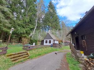 Prodej ubytování, Zbytiny - Blažejovice, 453 m2