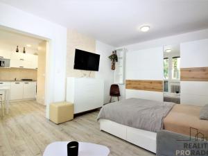 Pronájem bytu 1+1, Znojmo, Gagarinova, 33 m2