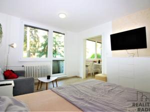 Pronájem bytu 1+1, Znojmo, Gagarinova, 33 m2