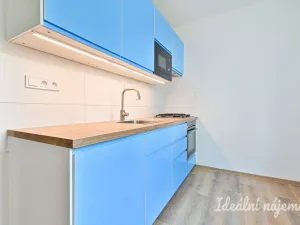 Pronájem bytu 3+1, Brno - Lesná, Jurkovičova, 70 m2