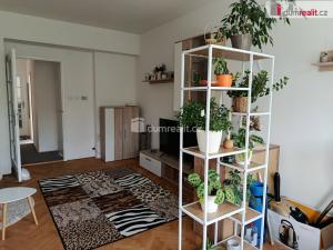 Pronájem bytu 2+1, Praha - Podolí, Dvorecká, 53 m2