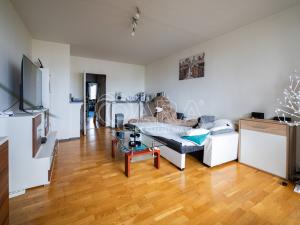 Prodej bytu 6+kk a větší, Praha, Dunická, 376 m2