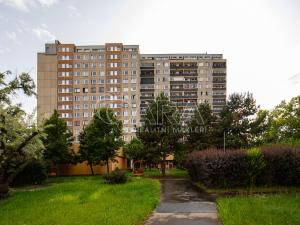 Prodej bytu 6+kk a větší, Praha - Záběhlice, Dunická, 376 m2