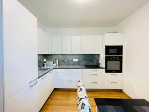 Pronájem bytu 2+1, Olomouc, Eduarda Hamburgera, 58 m2