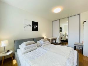 Pronájem bytu 2+1, Olomouc, Eduarda Hamburgera, 58 m2