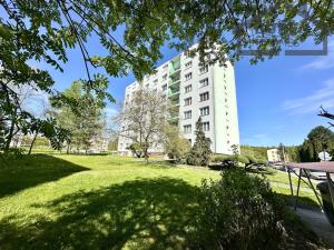 Pronájem bytu 3+1, Planá, Fučíkova, 69 m2