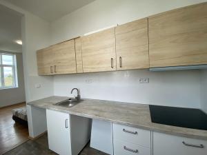 Pronájem bytu 1+kk, Čistá, 38 m2