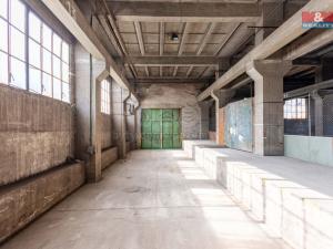 Pronájem výrobních prostor, Ostrava, 12000 m2