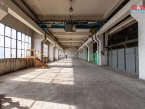 Pronájem výrobních prostor, Ostrava, 12000 m2