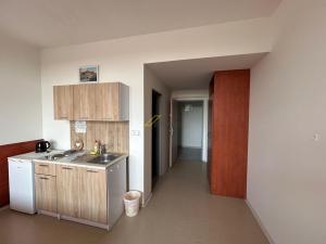 Pronájem bytu 1+kk, České Budějovice - České Budějovice 3, Jiráskovo nábř., 29 m2