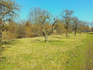 Prodej zahrady, Kanice, 861 m2