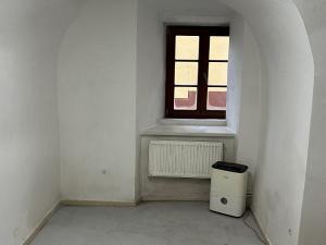 Pronájem obchodního prostoru, Planá, 65 m2