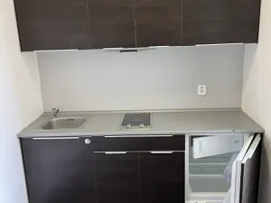 Pronájem bytu 1+kk, Brno, Hlinky, 49 m2