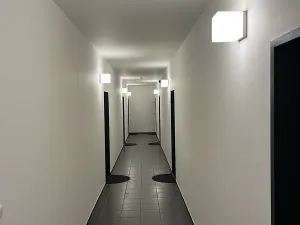 Pronájem bytu 1+kk, Brno, Hlinky, 49 m2