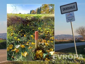 Prodej pozemku pro bydlení, Okrouhlo, 900 m2