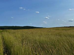 Prodej pole, Habrůvka, 8070 m2