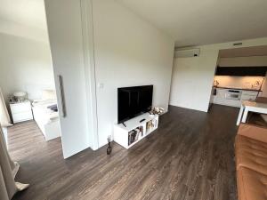 Pronájem bytu 2+kk, Brno - Veveří, Lidická, 55 m2