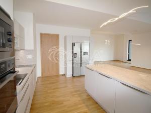 Pronájem bytu 4+kk, Praha - Holešovice, Sanderova, 170 m2