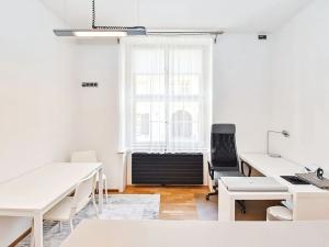 Pronájem bytu 2+kk, Praha - Staré Město, Haštalská, 56 m2