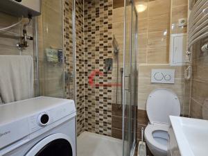 Pronájem bytu 1+kk, Mikulčice - Těšice, 30 m2