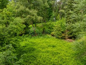 Prodej pozemku pro bydlení, Hrubá Skála, 5519 m2