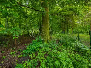 Prodej pozemku pro bydlení, Hrubá Skála, 5519 m2