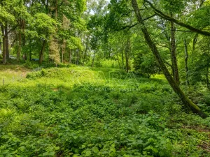 Prodej pozemku pro bydlení, Hrubá Skála, 5519 m2