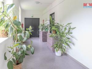 Prodej bytu 2+kk, Všemina, 47 m2