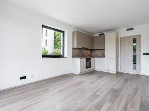 Pronájem bytu 2+kk, Praha, Na Zlíchově, 47 m2