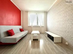 Pronájem bytu 2+kk, Most, Česká, 40 m2