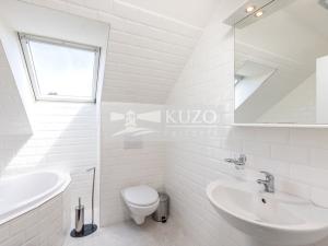 Prodej rodinného domu, Mladá Boleslav - Čejetice, Nová, 302 m2