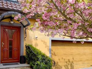 Prodej rodinného domu, Mladá Boleslav - Čejetice, Nová, 302 m2