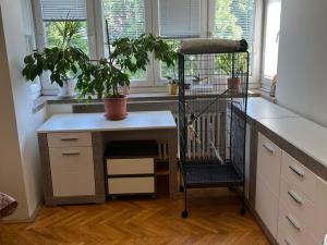 Pronájem bytu 3+1, Zlín, Benešovo nábřeží, 78 m2
