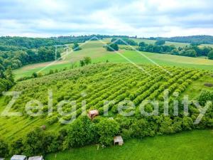 Prodej sadu/vinice, Polom, 9760 m2