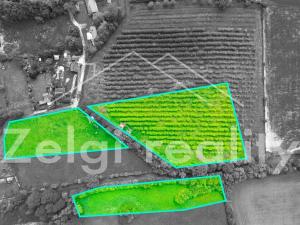 Prodej sadu/vinice, Polom, 9760 m2