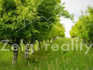 Prodej sadu/vinice, Polom, 9760 m2