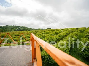 Prodej sadu/vinice, Polom, 9760 m2