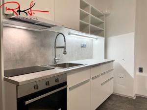 Pronájem bytu 1+1, Mladá Boleslav, Luční, 52 m2