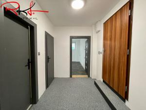 Pronájem bytu 1+1, Mladá Boleslav, Luční, 52 m2