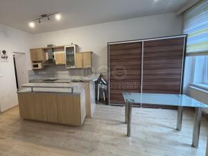 Pronájem bytu 2+kk, Plzeň, Hálkova, 93 m2