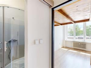 Pronájem bytu 1+kk, Králův Dvůr, Plzeňská, 22 m2