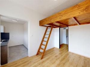 Pronájem bytu 1+kk, Králův Dvůr, Plzeňská, 22 m2