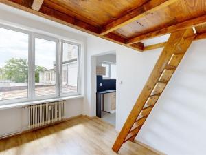 Pronájem bytu 1+kk, Králův Dvůr, Plzeňská, 22 m2